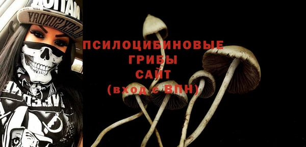 метадон Беломорск