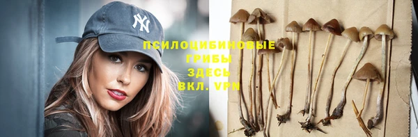 кристаллы Белокуриха
