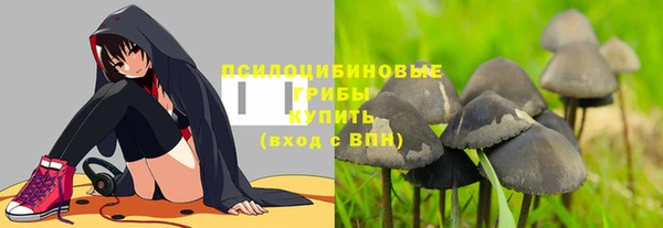 кристаллы Белокуриха