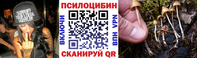 купить  сайты  Дагестанские Огни  Псилоцибиновые грибы мицелий 