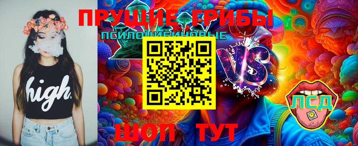 Псилоцибиновые грибы Psilocybe  Вход с VPN  Дагестанские Огни 