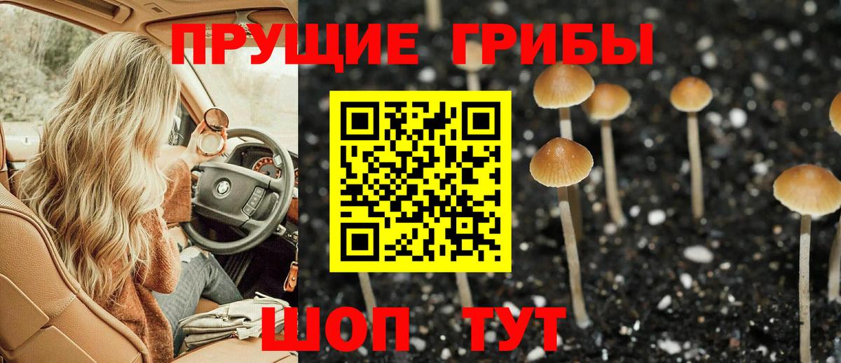 Псилоцибиновые грибы Psilocybine cubensis Дагестанские Огни
