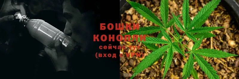 купить наркоту  Дагестанские Огни  Каннабис White Widow 