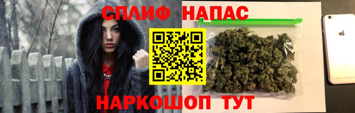 Канабис конопля Дагестанские Огни